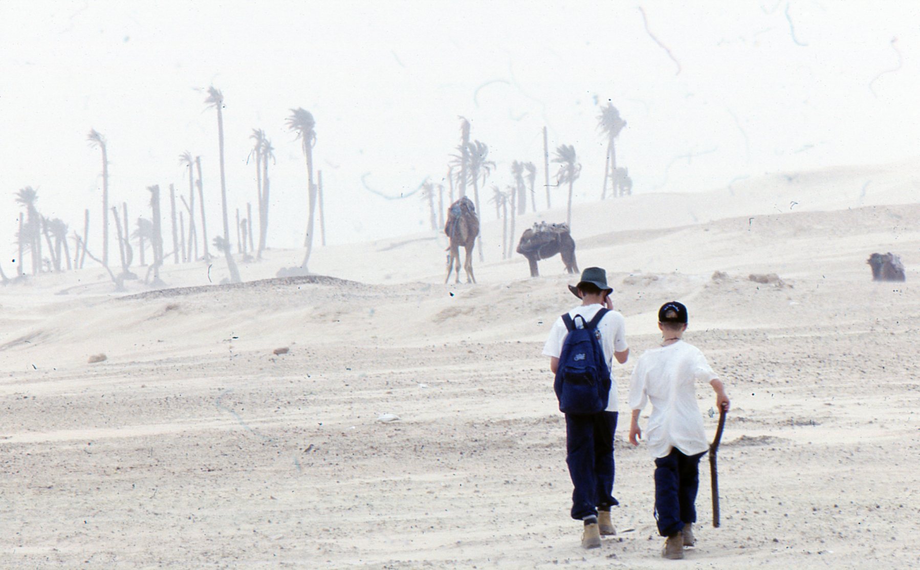 On the edge of the Sahara's Great Eastern Erg, Alex & Evan Gabriel battle a sandstorm.